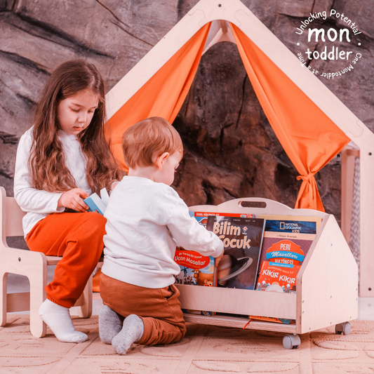 Portable Montessori Bookshelf